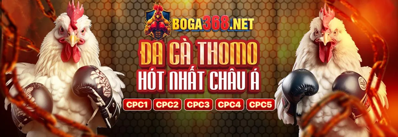 Chiến thuật chơi game bài online đỉnh cao tại vaobong88
