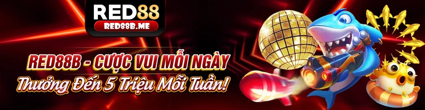 Hình ảnh điều khoản dịch vụ vaobong88